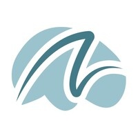 numinous_ai_company_logo