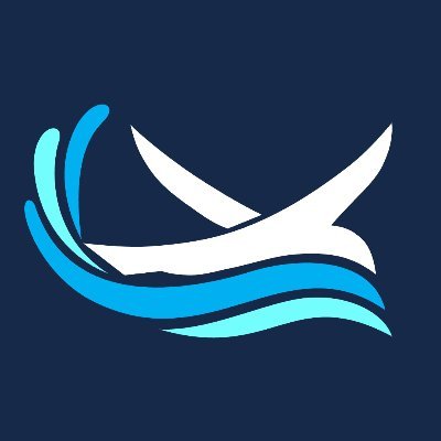 REGENT Company Logo – Crypto Jobs, Web3 Jobs and Salaries at REGENT